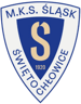 Śląsk Demarko Świętochłowice logo